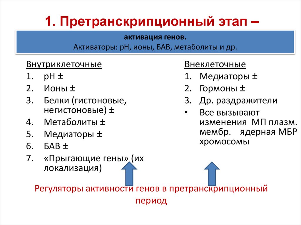 Регуляторы активности генов в претранскрипционный период