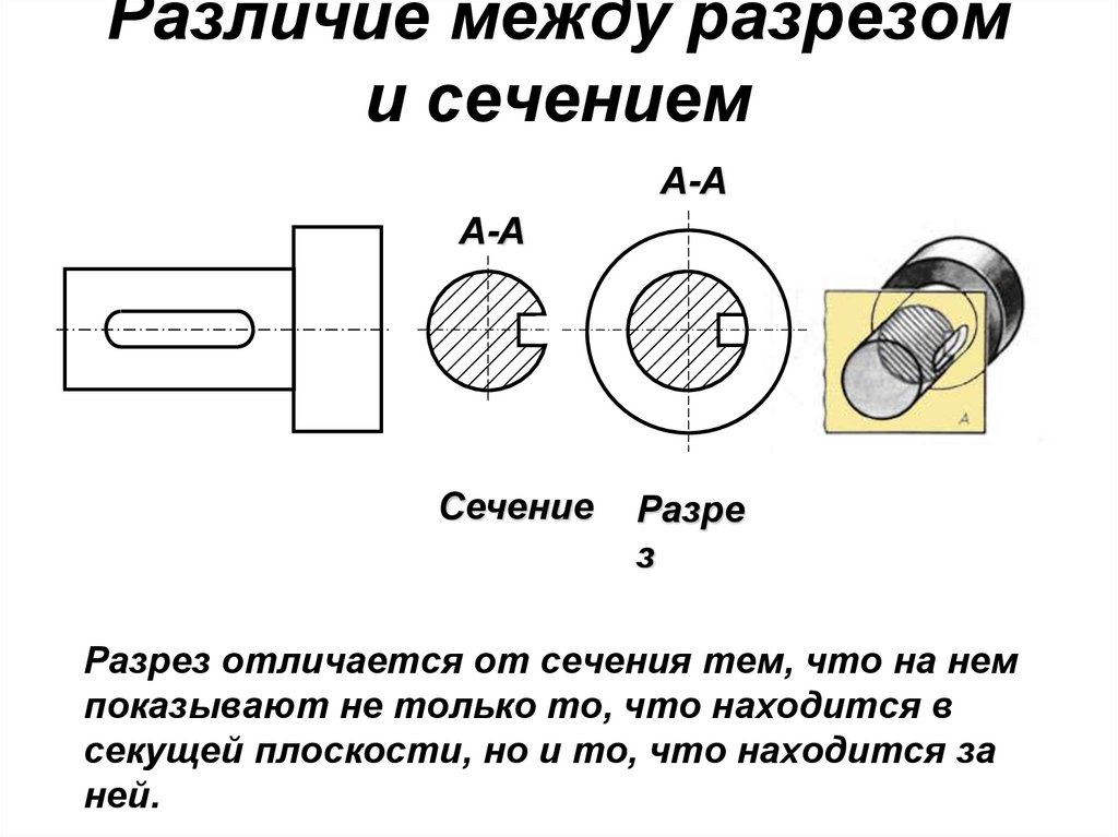 Различие между разрезом и сечением