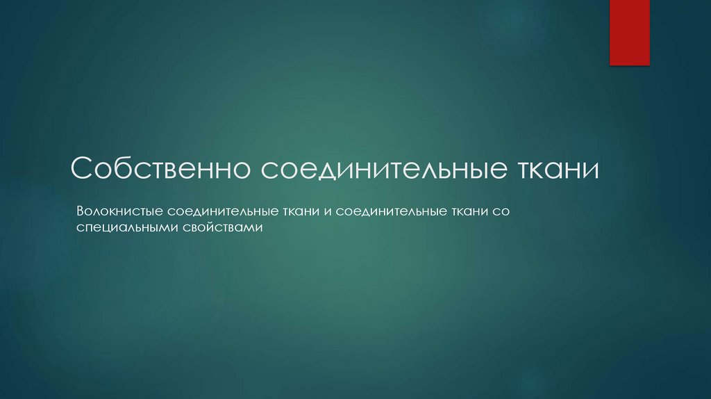Собственно соединительные ткани