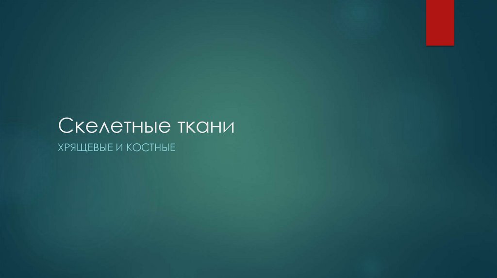 Скелетные ткани