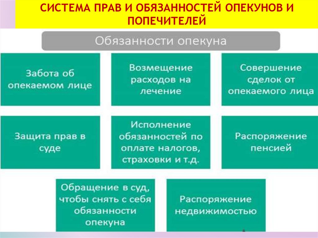 Система прав и обязанностей опекунов и попечителей