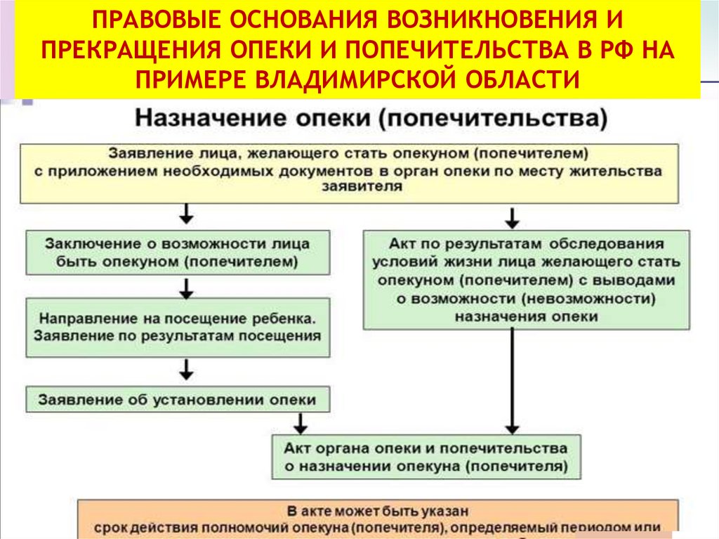 Правовые основания возникновения и прекращения опеки и попечительства в РФ на примере Владимирской области