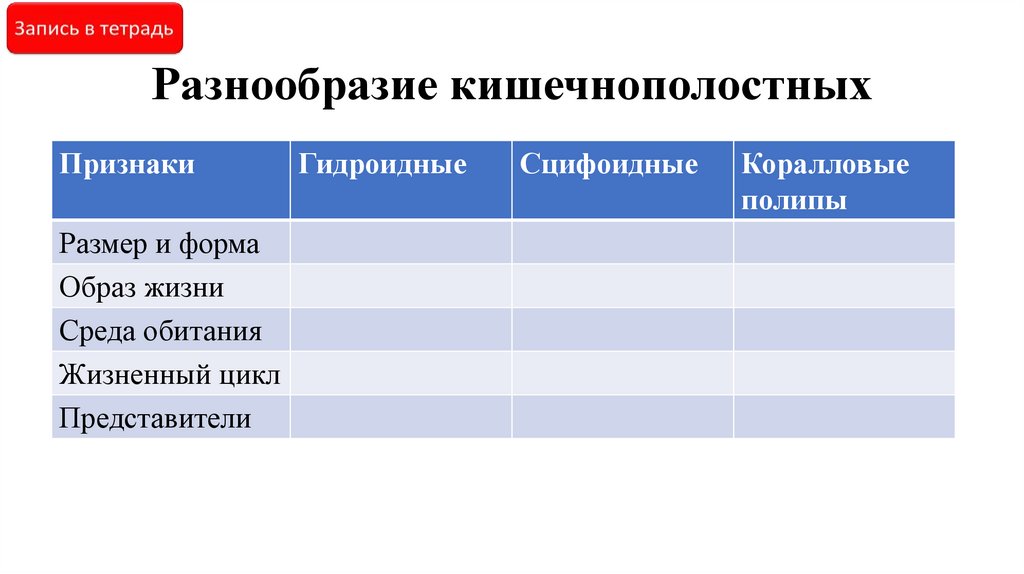 Разнообразие кишечнополостных