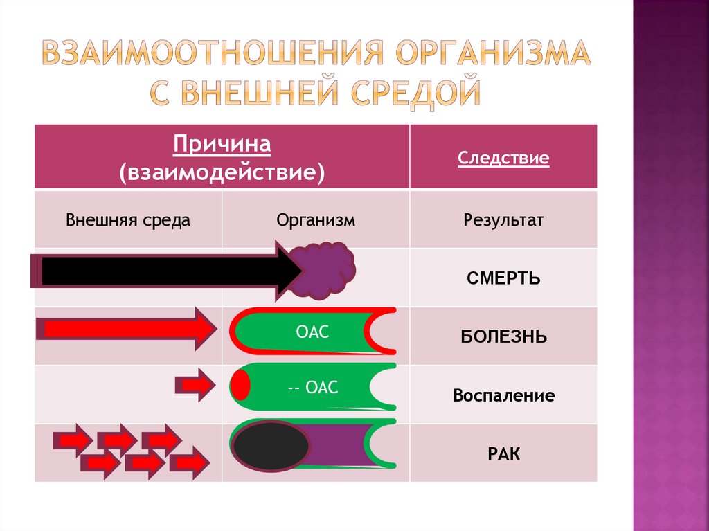 Взаимоотношения организма с внешней средой