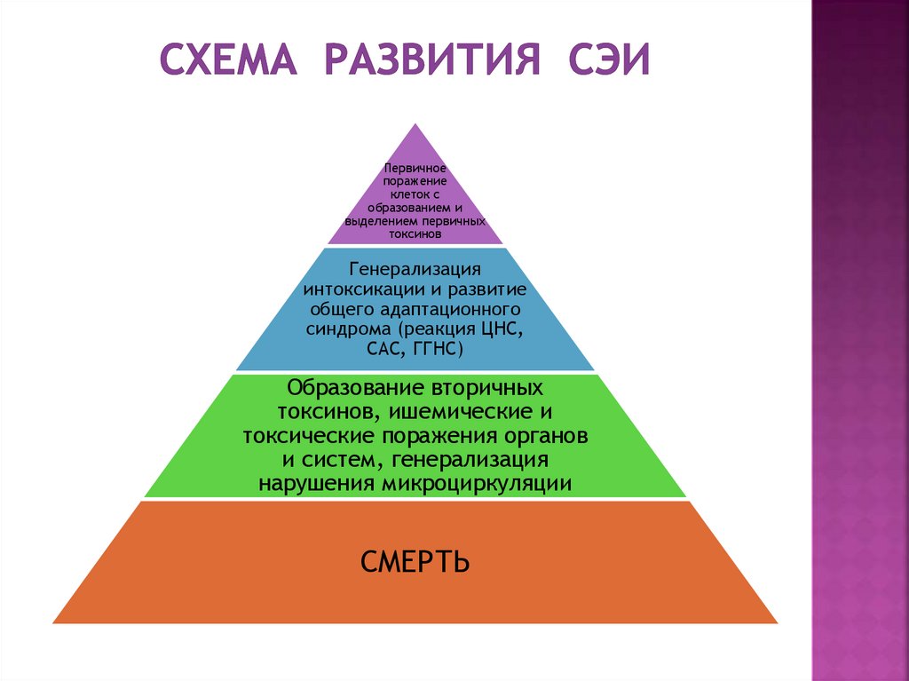 Схема развития СЭИ