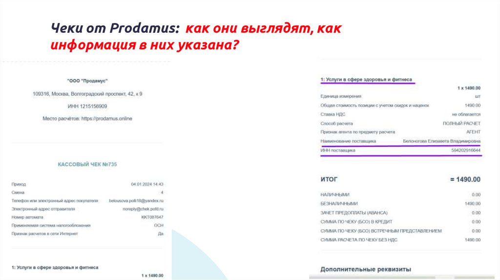 Чеки от Prodamus: как они выглядят, как информация в них указана?