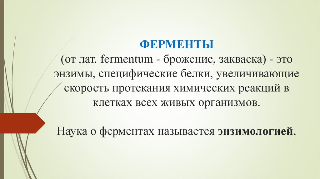 ФЕРМЕНТЫ (от лат. fermentum - брожение, закваска) - это энзимы, специфические белки, увеличивающие скорость протекания