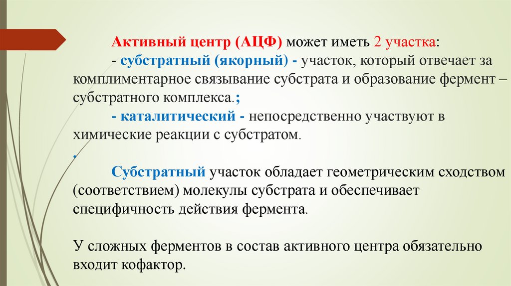 Активный центр (АЦФ) может иметь 2 участка: - субстратный (якорный) - участок, который отвечает за комплиментарное связывание