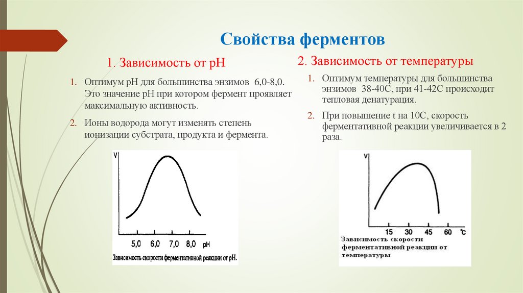 Свойства ферментов