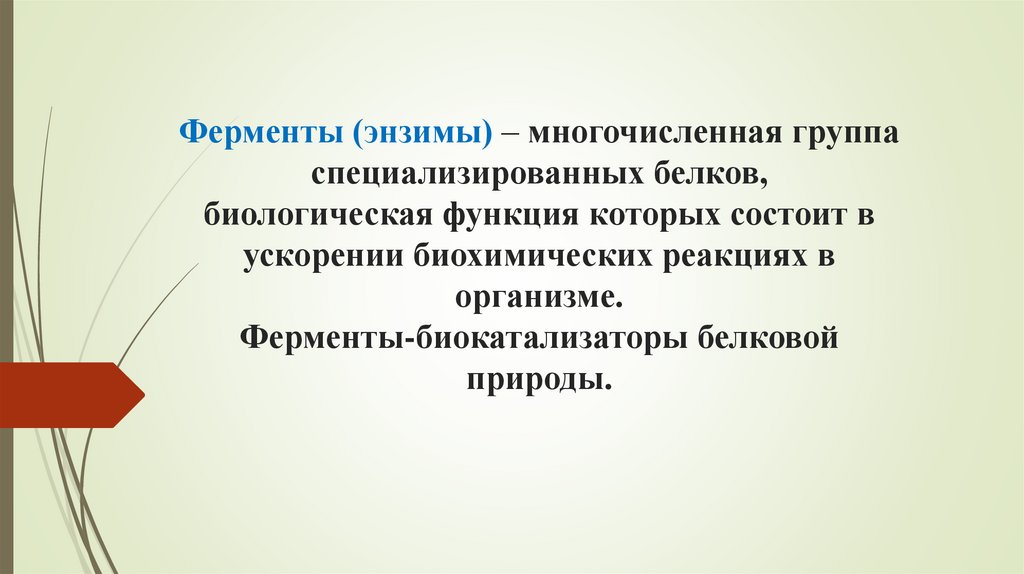 Ферменты (энзимы) – многочисленная группа специализированных белков, биологическая функция которых состоит в ускорении
