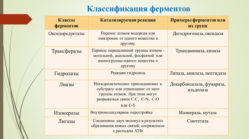 Классификация ферментов
