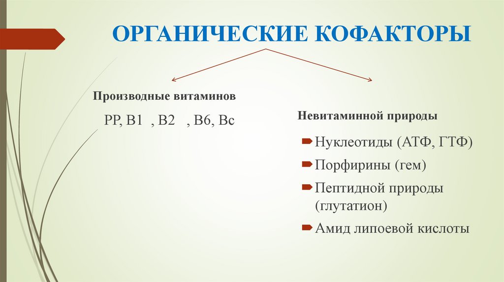ОРГАНИЧЕСКИЕ КОФАКТОРЫ