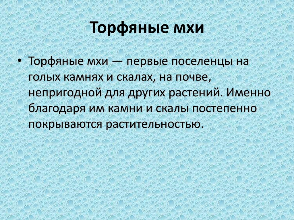 Торфяные мхи