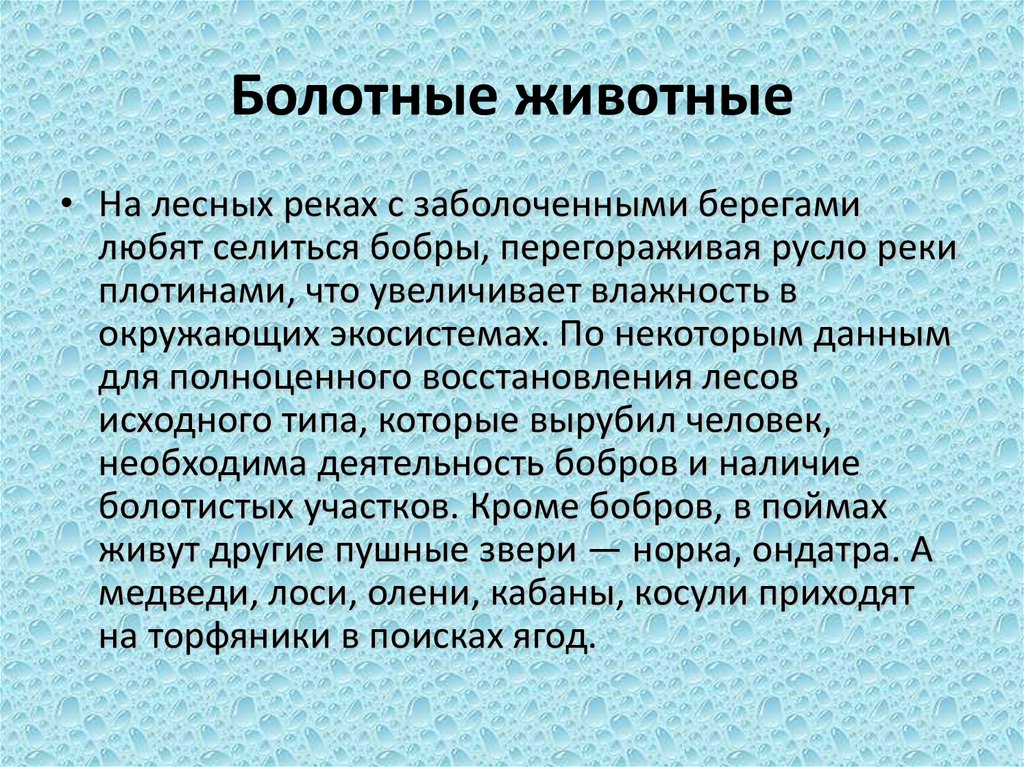Болотные животные