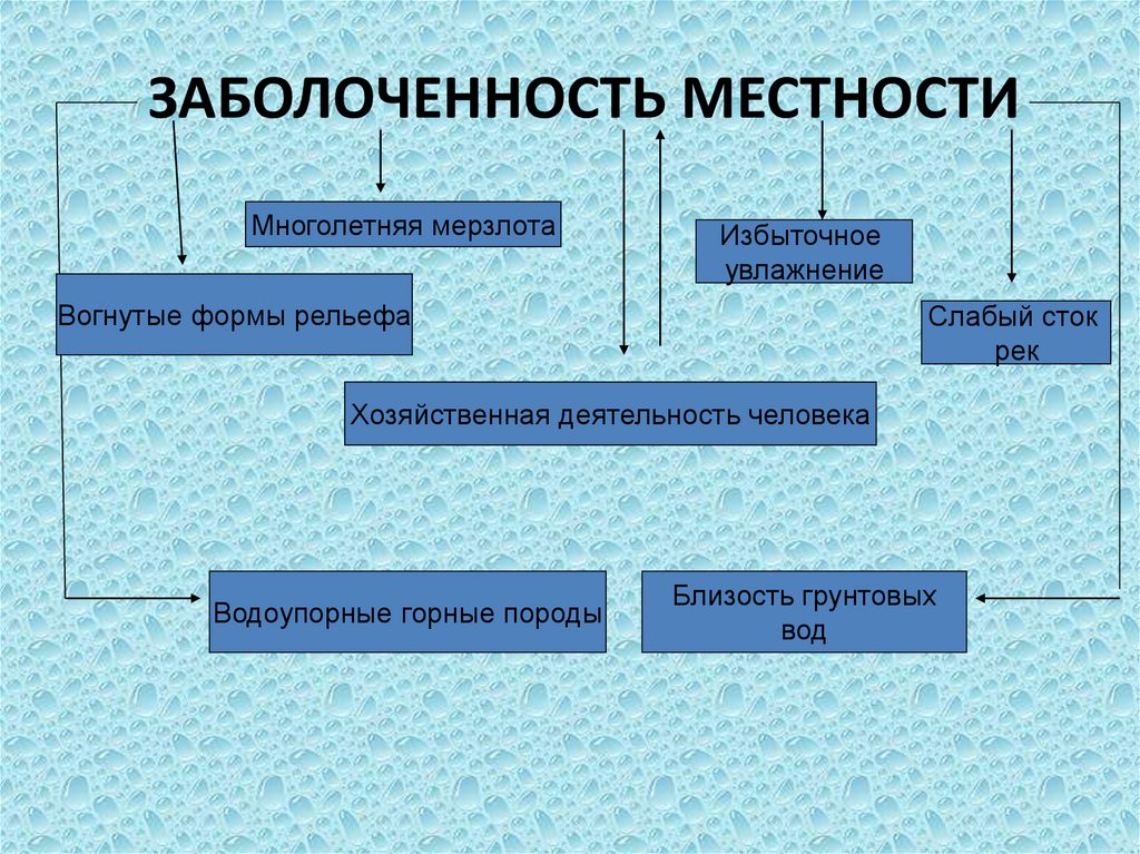ЗАБОЛОЧЕННОСТЬ МЕСТНОСТИ