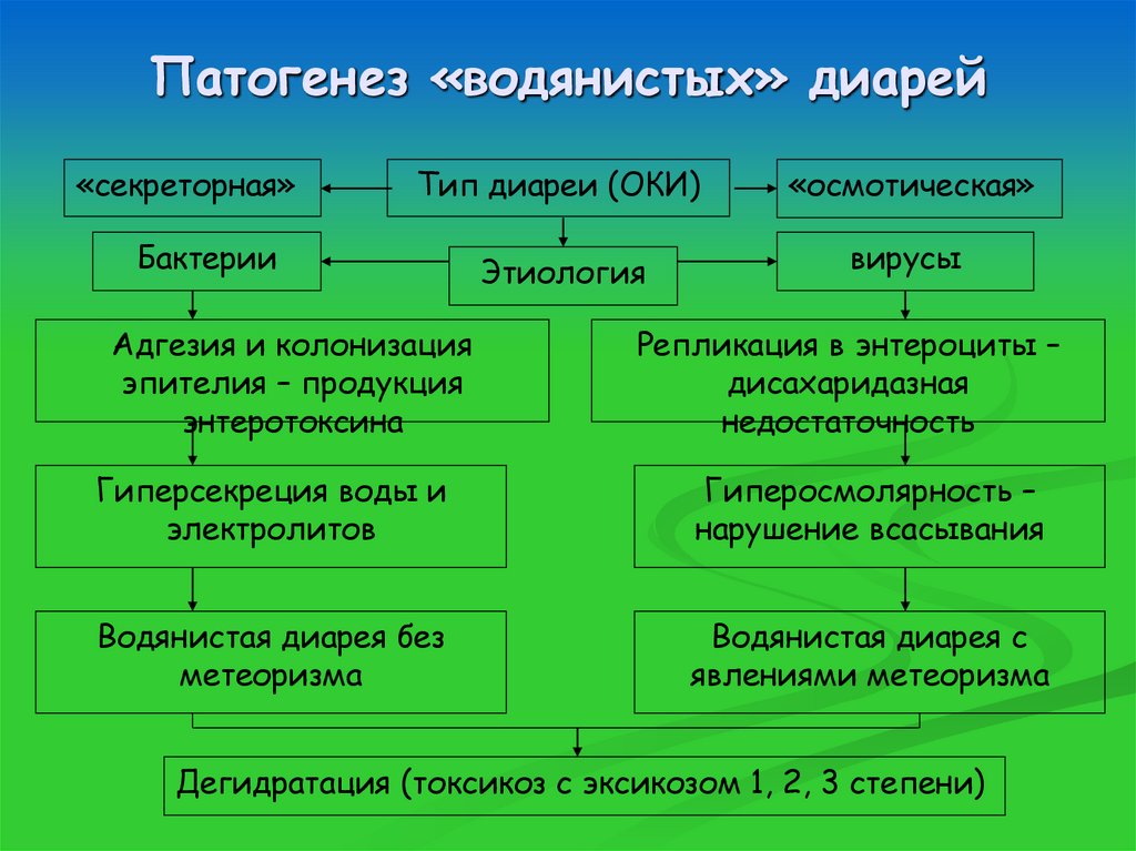 Патогенез «водянистых» диарей
