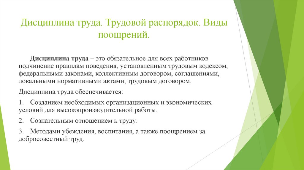 Дисциплина труда. Трудовой распорядок. Виды поощрений.