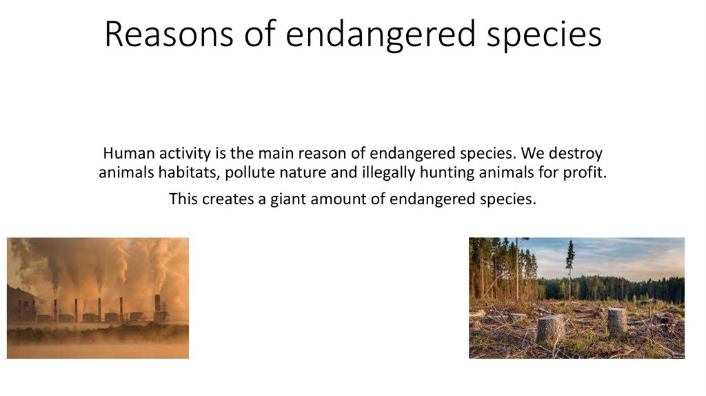 Reasons of endangered species