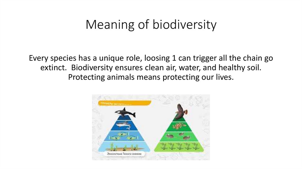 Meaning of biodiversity