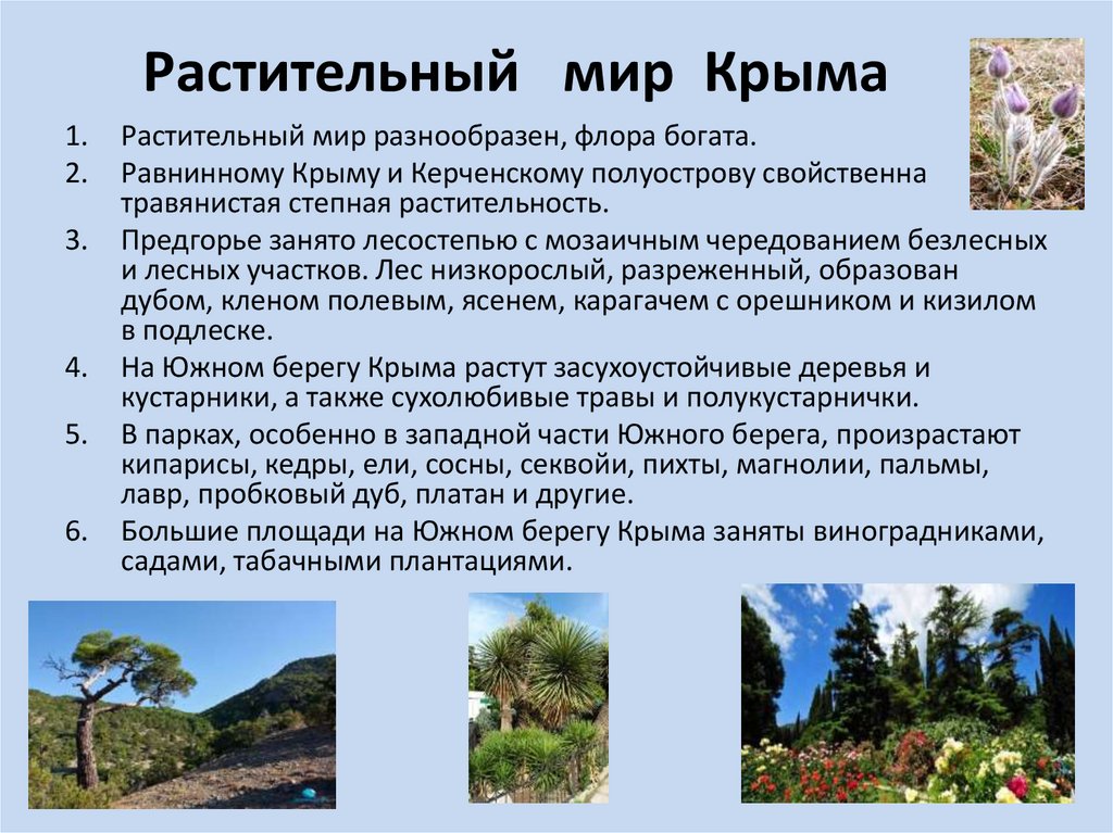 Растительный мир Крыма