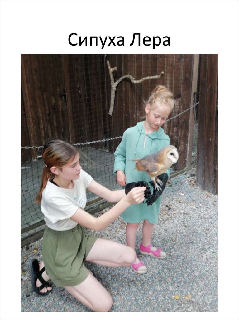 Сипуха Лера