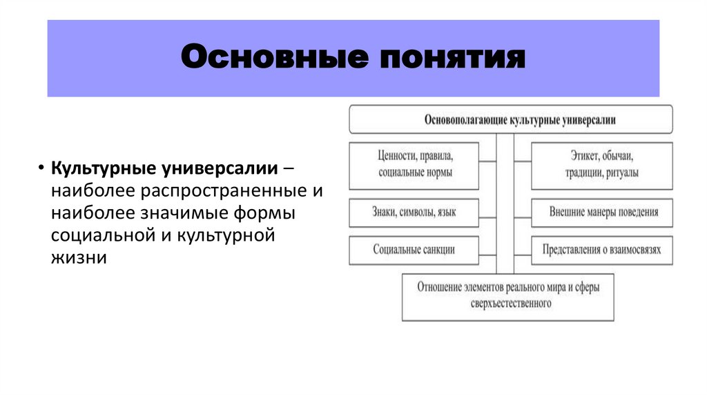 Основные понятия