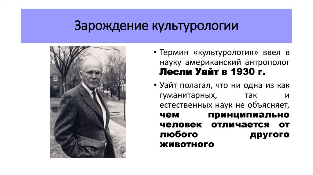 Зарождение культурологии