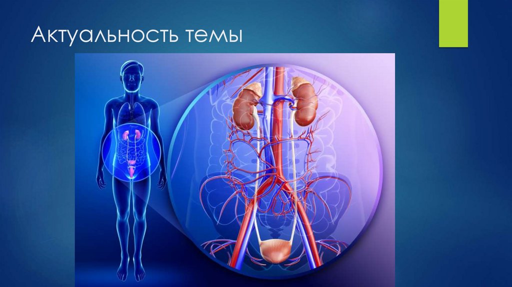 Актуальность темы