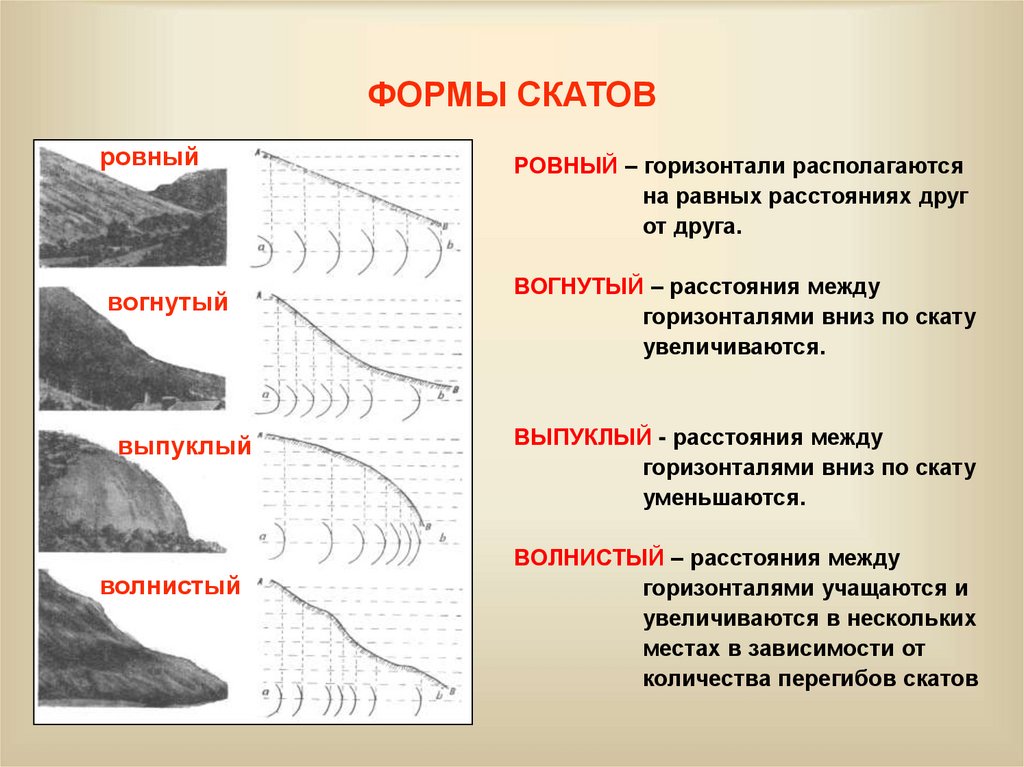 ФОРМЫ СКАТОВ