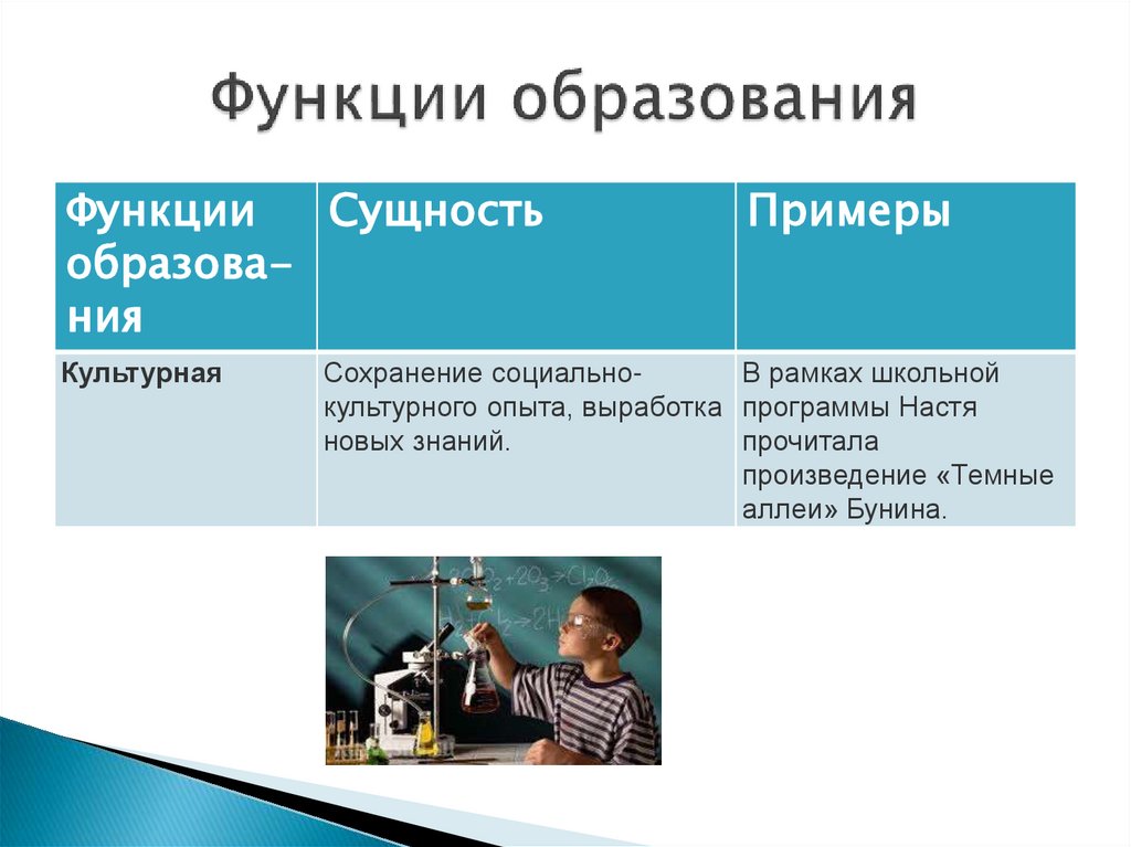Функции образования