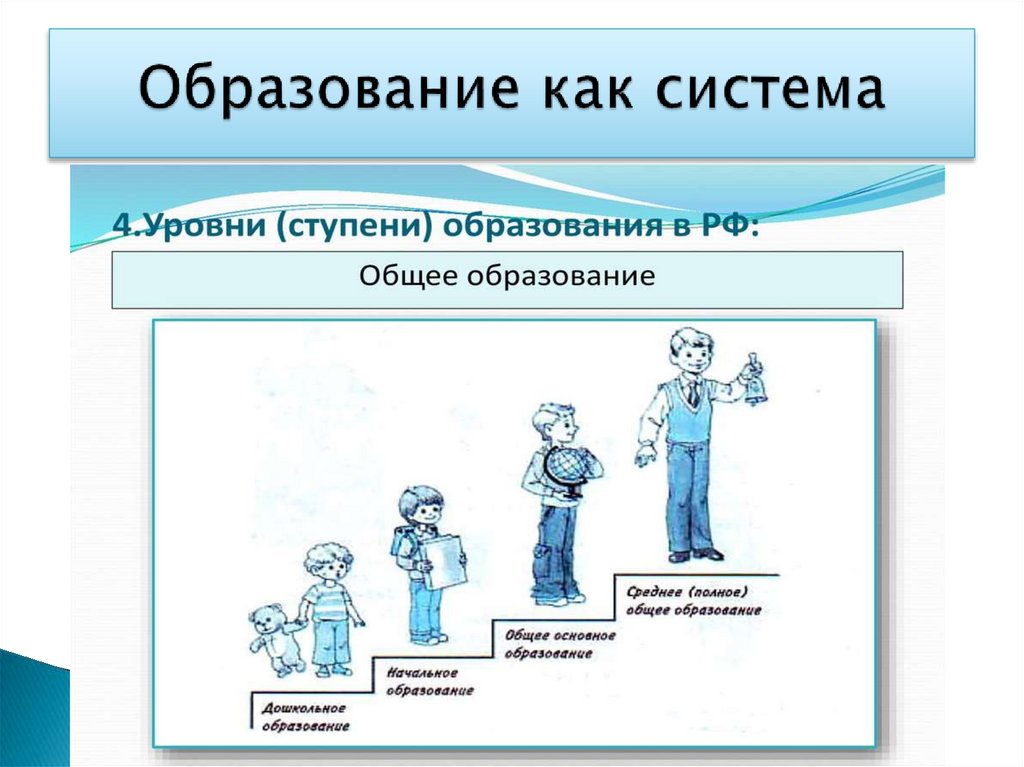 Образование как система