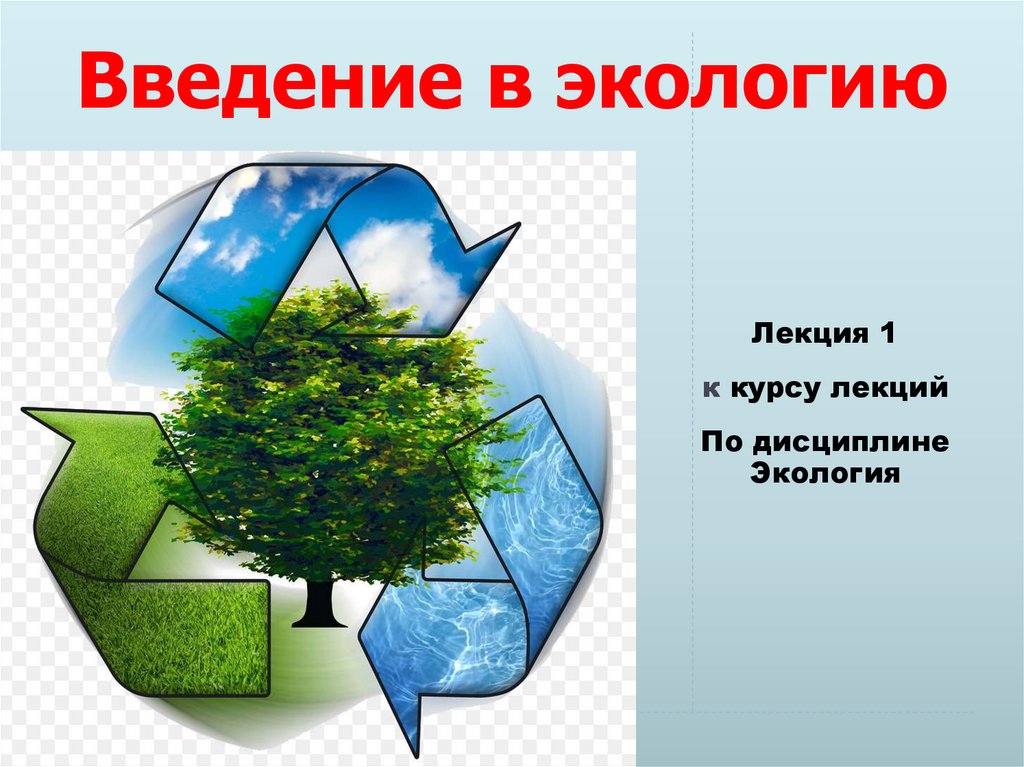Введение в экологию