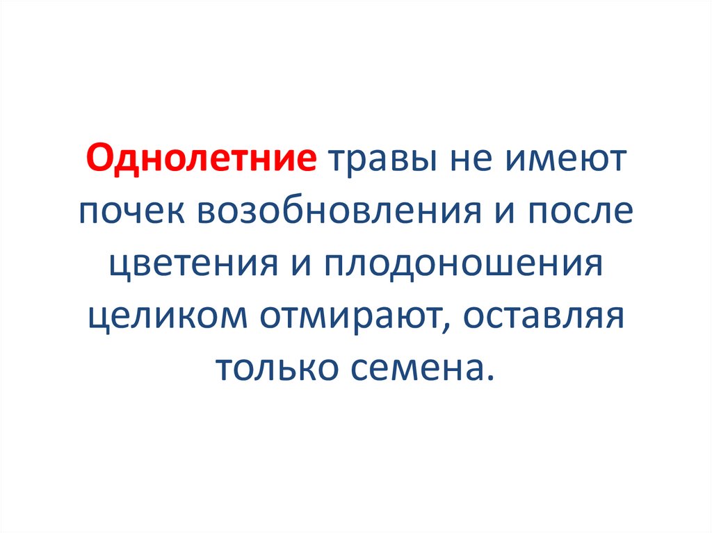 Однолетние травы не имеют почек возобновления и после цветения и плодоношения целиком отмирают, оставляя только семена.