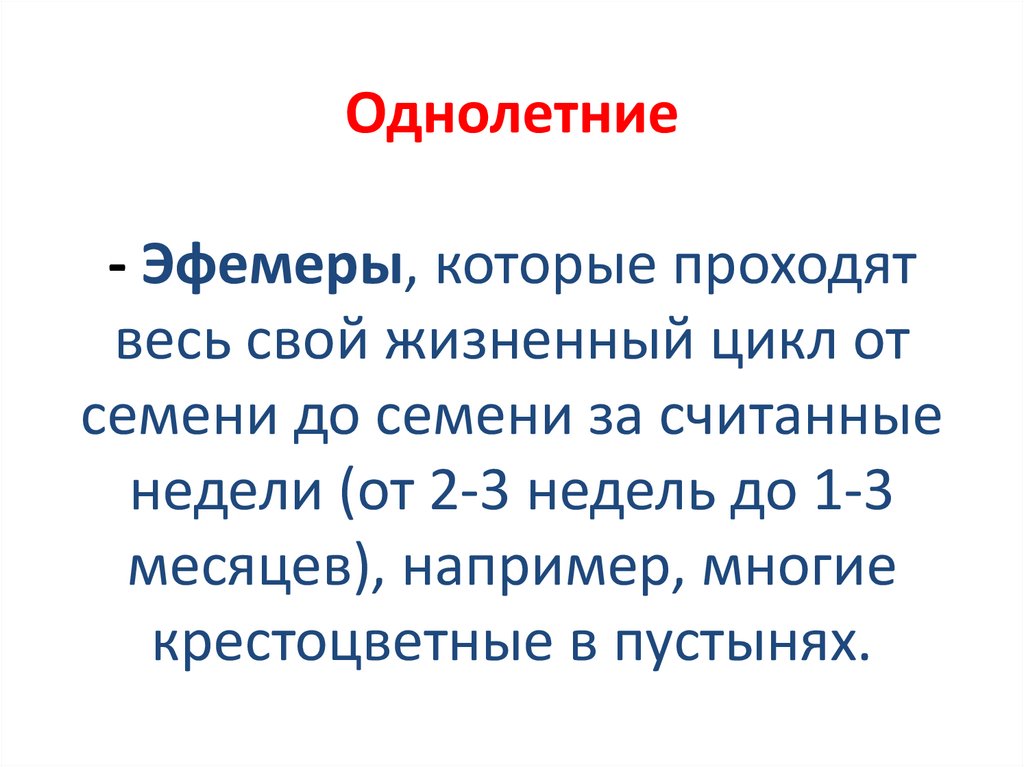 Однолетние - Эфемеры, которые проходят весь свой жизненный цикл от семени до семени за считанные недели (от 2-3 недель до 1-3