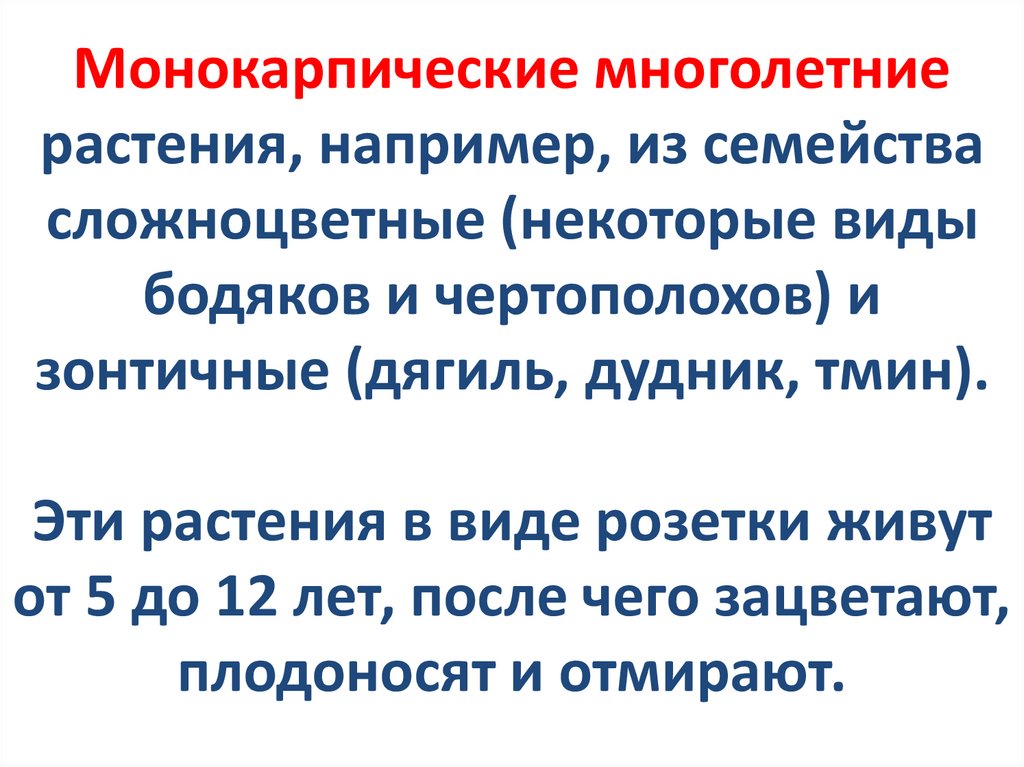 Монокарпические многолетние растения, например, из семейства сложноцветные (некоторые виды бодяков и чертополохов) и зонтичные