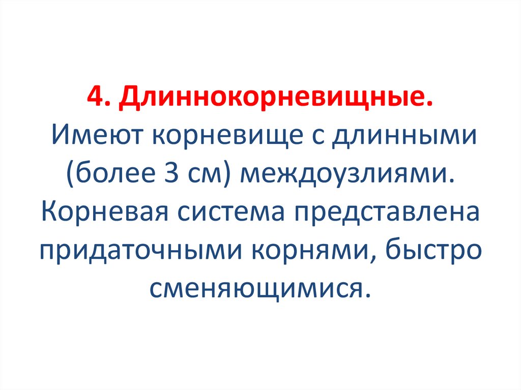 4. Длиннокорневищные. Имеют корневище с длинными (более 3 см) междоузлиями. Корневая система представлена придаточными корнями,