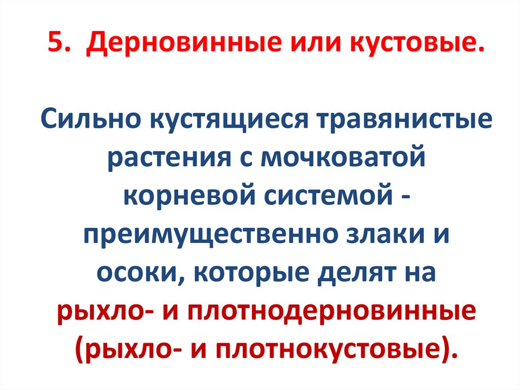 5. Дерновинные или кустовые. Сильно кустящиеся травянистые растения с мочковатой корневой системой - преимущественно злаки и