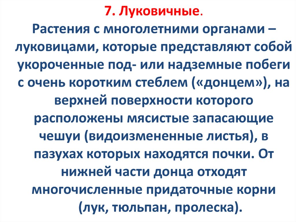 7. Луковичные. Растения с многолетними органами – луковицами, которые представляют собой укороченные под- или надземные побеги