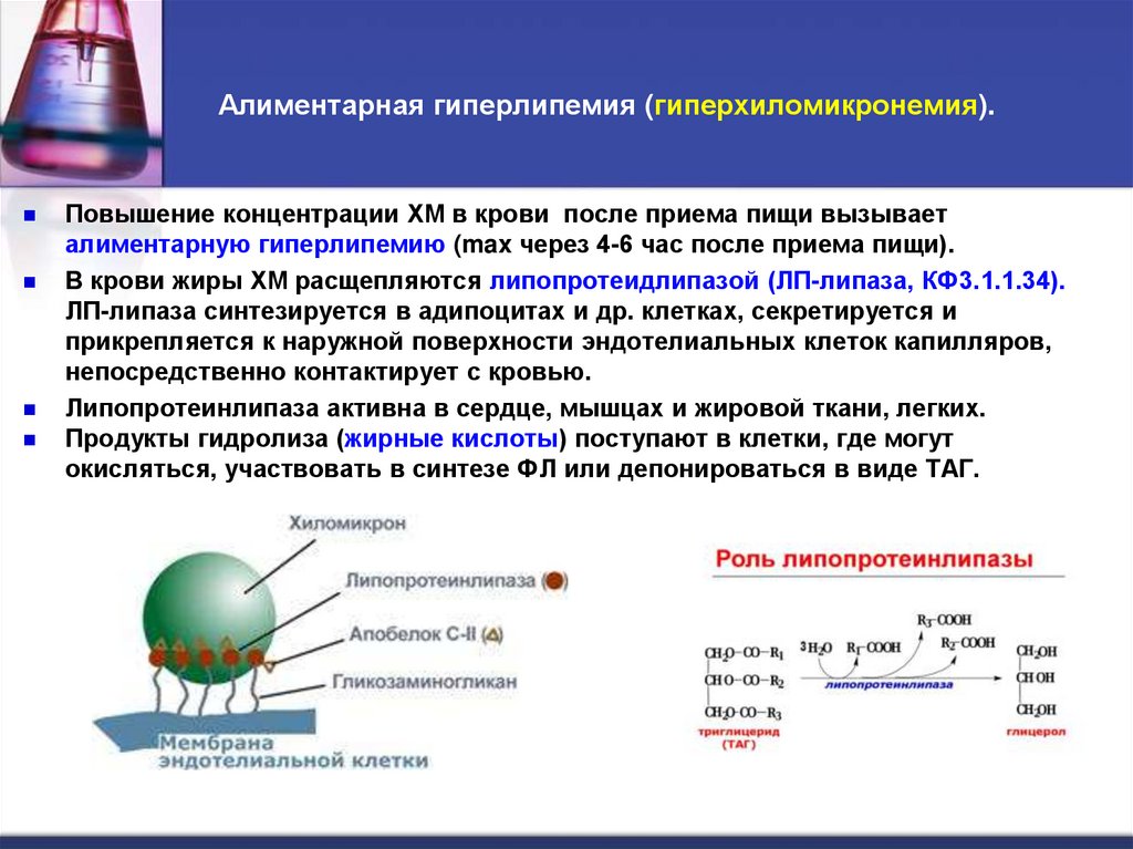 Алиментарная гиперлипемия (гиперхиломикронемия).