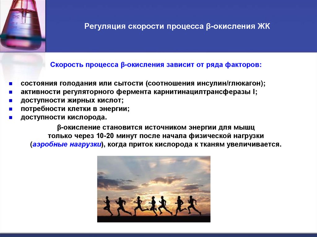 Регуляция скорости процесса β-окисления ЖК