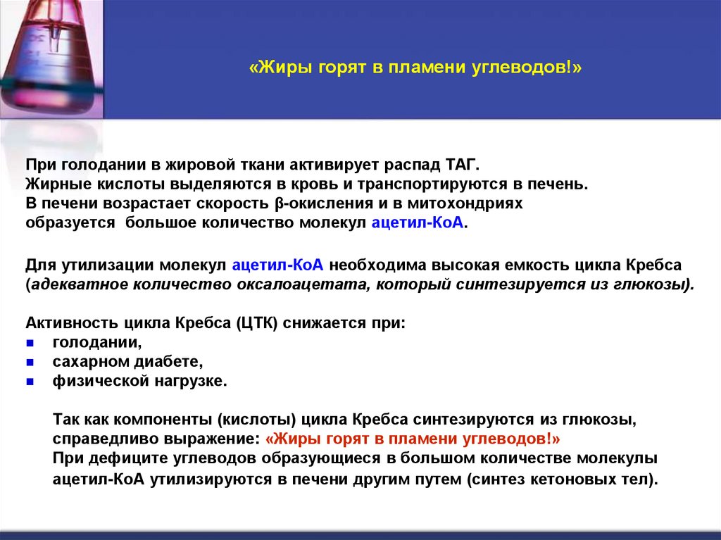 «Жиры горят в пламени углеводов!»