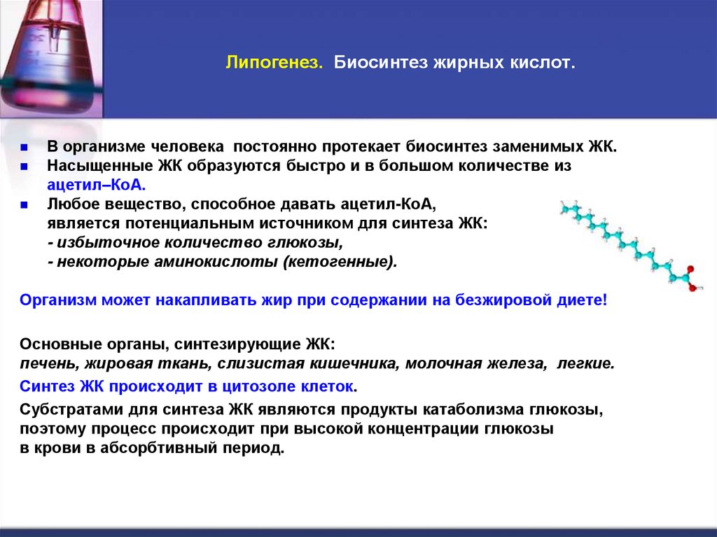 Липогенез. Биосинтез жирных кислот.