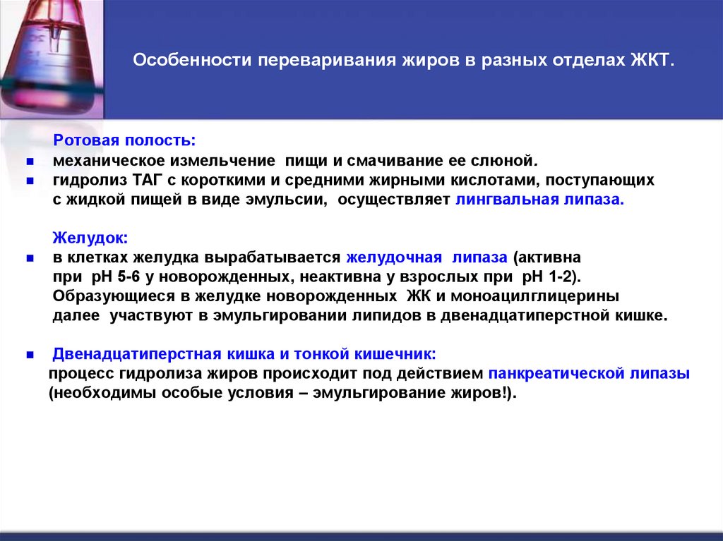 Особенности переваривания жиров в разных отделах ЖКТ.
