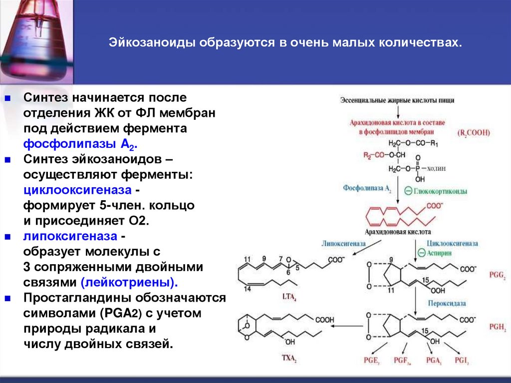 Эйкозаноиды образуются в очень малых количествах.