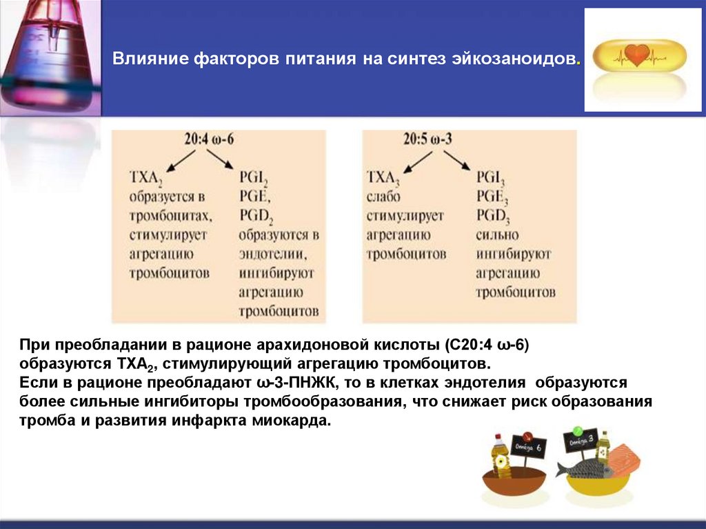 Влияние факторов питания на синтез эйкозаноидов.