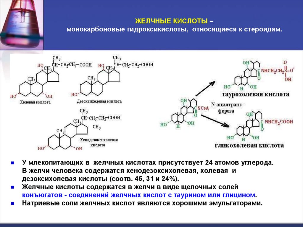ЖЕЛЧНЫЕ КИСЛОТЫ – монокарбоновые гидроксикислоты, относящиеся к стероидам.