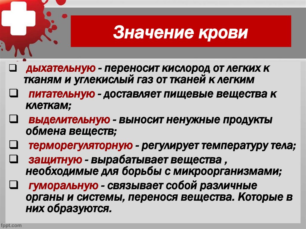 Значение крови