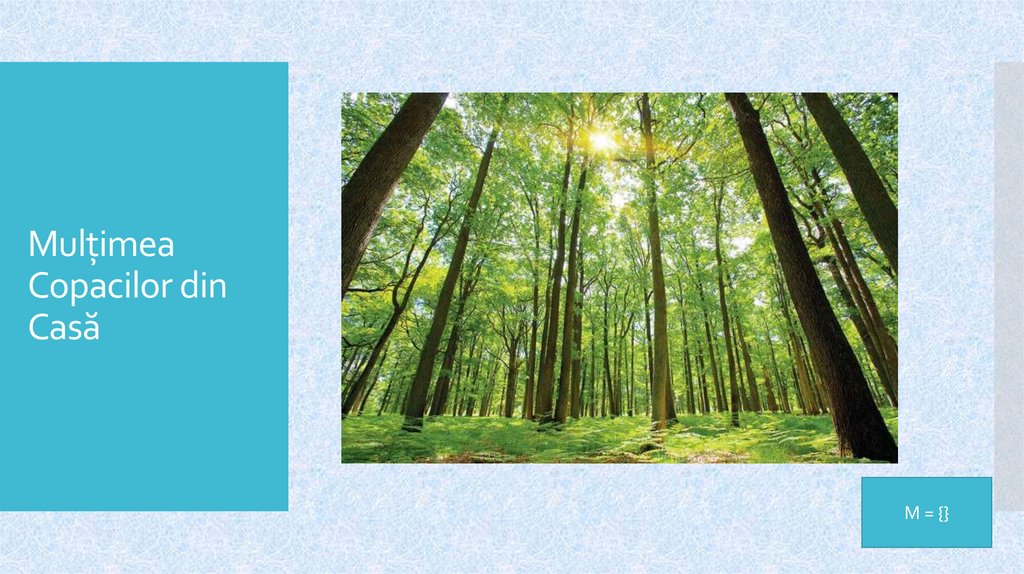 Mulțimea Copacilor din Casă
