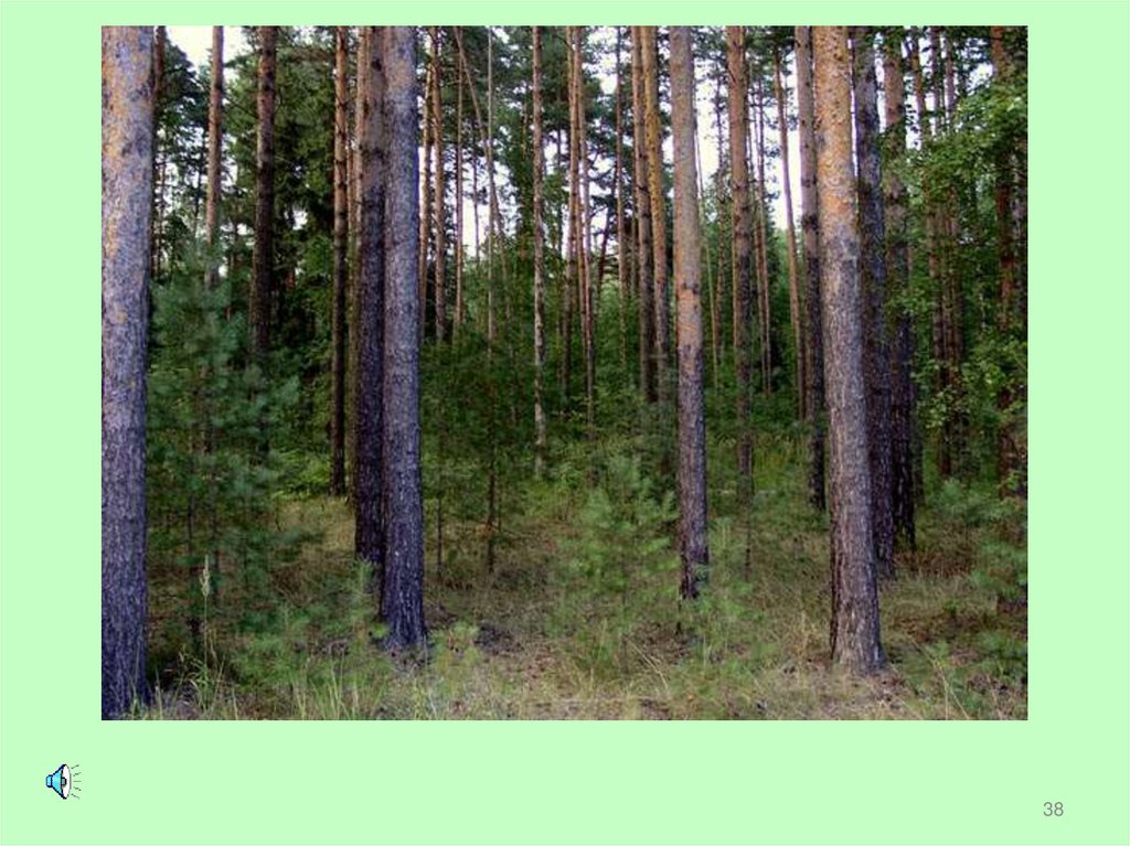 Домашнее задание: