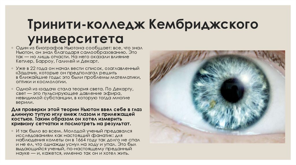 Тринити-колледж Кембриджского университета